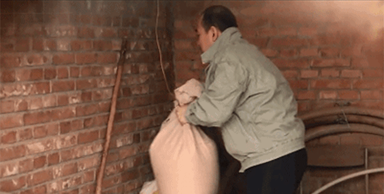 1697259627809825.gif